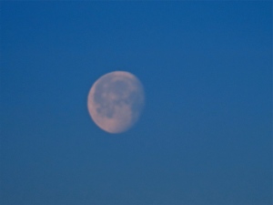 Westport, WA full moon. (Hadi Dadashian photo)
