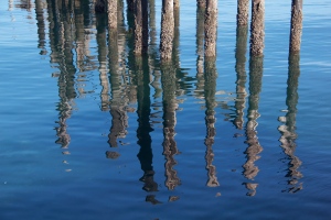Reflections, Point Ruston, WA. (Hadi Dadashian photo)